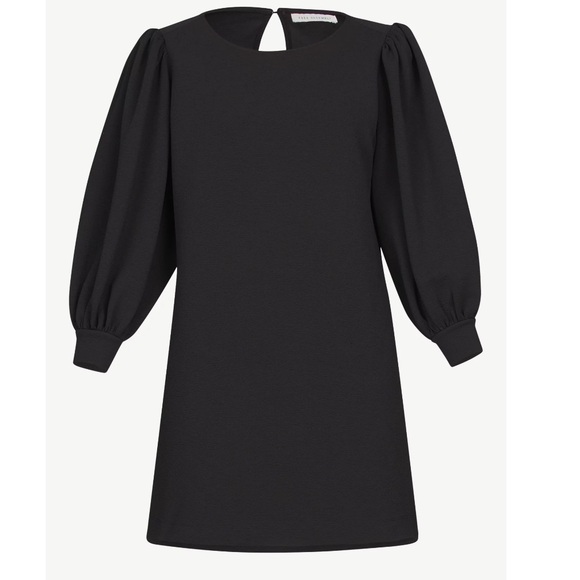 NWT Free Assembly Women's Puff Sleeve Dress. Size Small - Picture 5 of 5